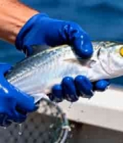  渔民手持新鲜海鱼2986#横屏 	 