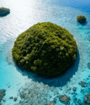 俯瞰海洋中的绿植小岛2811#横