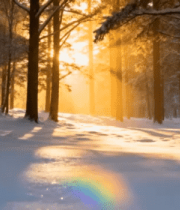 冬日森林阳光雪景素材2520#横