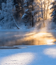 冬日森林雪景湖面阳光景象4016#横屏 
