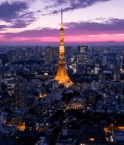 东京塔城市夜景俯瞰画面5219#横