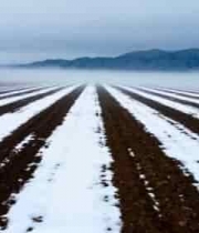  雪后山村晨雾航拍2624#横屏 	 -