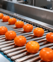 传送带上的西红柿2279#横屏 