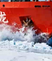  雪龙号破冰前行2632#横屏 	 -