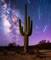 星空下的仙人掌延时2563#横屏 	 