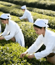 撑红伞男子雨中低头画面4920#横