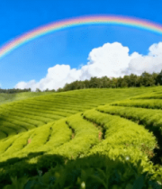  星空下的篝火湖畔2553#横屏 