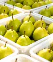  新鲜青梨果篮展示2542#横屏 	 