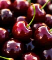  新鲜车厘子特写镜头2535#横屏 	 