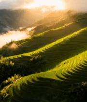 晨曦中云雾缭绕的梯田风光3244#横