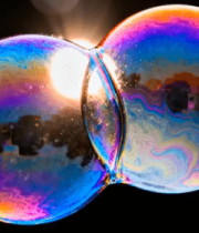  香煎虾仁芦笋2495#横屏 	 