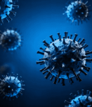 病毒特写素材2266#横