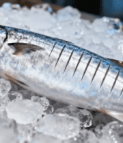 冰鲜海鱼特写素材1970#横屏 