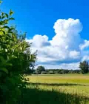  夏日草原蓝天白云2437#横屏 	 