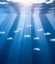  深海鱼群与阳光光束2069#横屏 	 