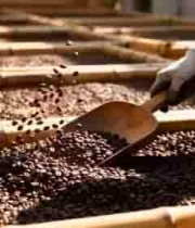  手冲咖啡制作过程2136#横屏 	 