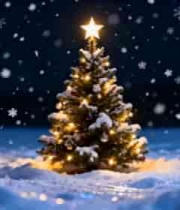 圣诞夜雪景圣诞树2092#横屏 	 