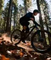  山林速降自行车骑行1956#横屏 	 -