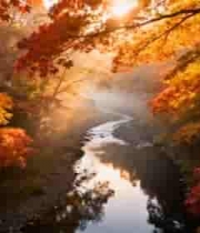  秋日溪谷红叶晨雾1796#横屏 	 