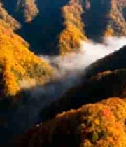  秋日山峦云海航拍1790#横屏 	 