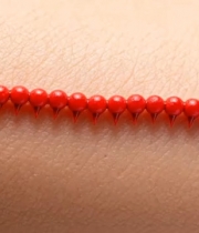  皮肤上的红色珠子排列1697#横屏 	 