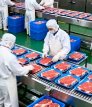  牛肉加工厂流水线作业1644#横屏 	 