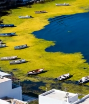  蓝绿海畔白房风光1375#横屏 	 -