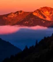  金色山顶云海日出1173#横屏 	 