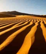  金色沙漠日出风光1172#横屏 	 - 