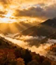  金色晨光山林云海1141#横屏 	 