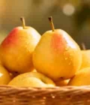  金黄红香酥梨特写1115#横屏 	 -