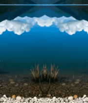 湖面倒影蓝天白云947#横屏 