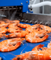 海鲜加工流水线作业803#横屏 