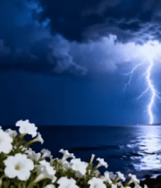 海边闪电夜云景767#横屏 