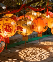 挂满福字灯笼的树735#横屏 