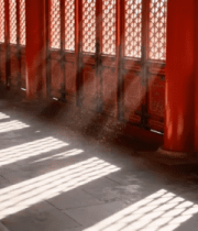故宫红墙光影走廊723#横屏 