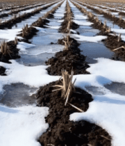 冬日炊烟雪景风光413#横屏 