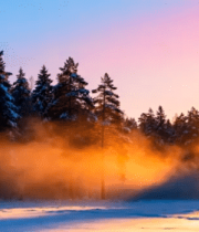 冬日晨曦雾霭森林410#横屏 