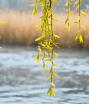 璀璨银河夜空延时356#横屏 