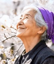 老人赏樱花特写10702#横屏 