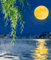 月夜垂柳下的水乡景色1823#横屏 