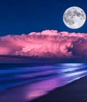 月夜下的海边美景11114#横屏 