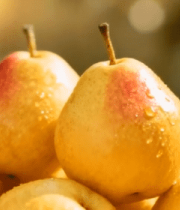 篮子里摆放的新鲜梨子5375#横屏 