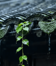 雨中古建筑屋檐水滴景象10566#横屏 