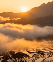 元阳梯田日出自然风光4819#横屏 
