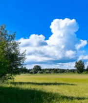 	 蓝天白云下的草地树林风景9305#横屏 