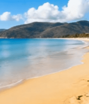 远山景观15026#横屏 