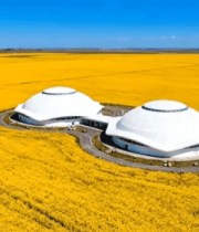 油菜花田中的白色建筑全景5921#横屏 