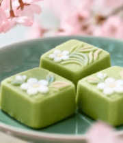 樱花背景下的青团特写14998#横屏 