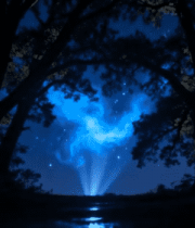 夜晚森林星空梦幻景象6208#横屏 